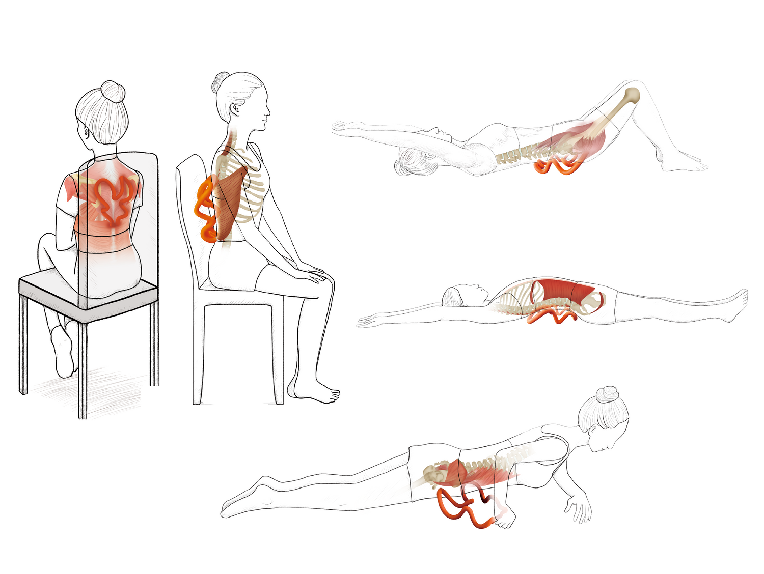 Shoulder psoas and glute deep tissue massage positions