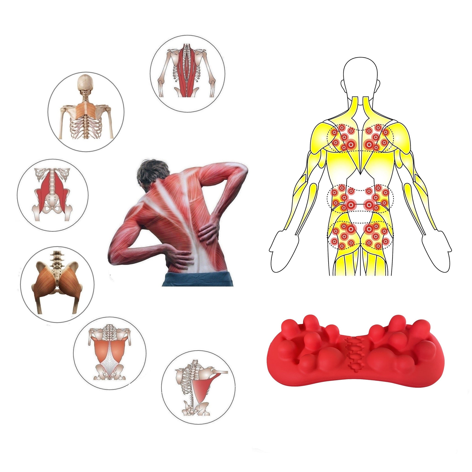 thumbnail image 2 of Deep Tissue Pro - Fully Adjustable Psoas Muscle Release Tool For Hip Flexor, Back, Glute, Iliacus, And 2 of 13