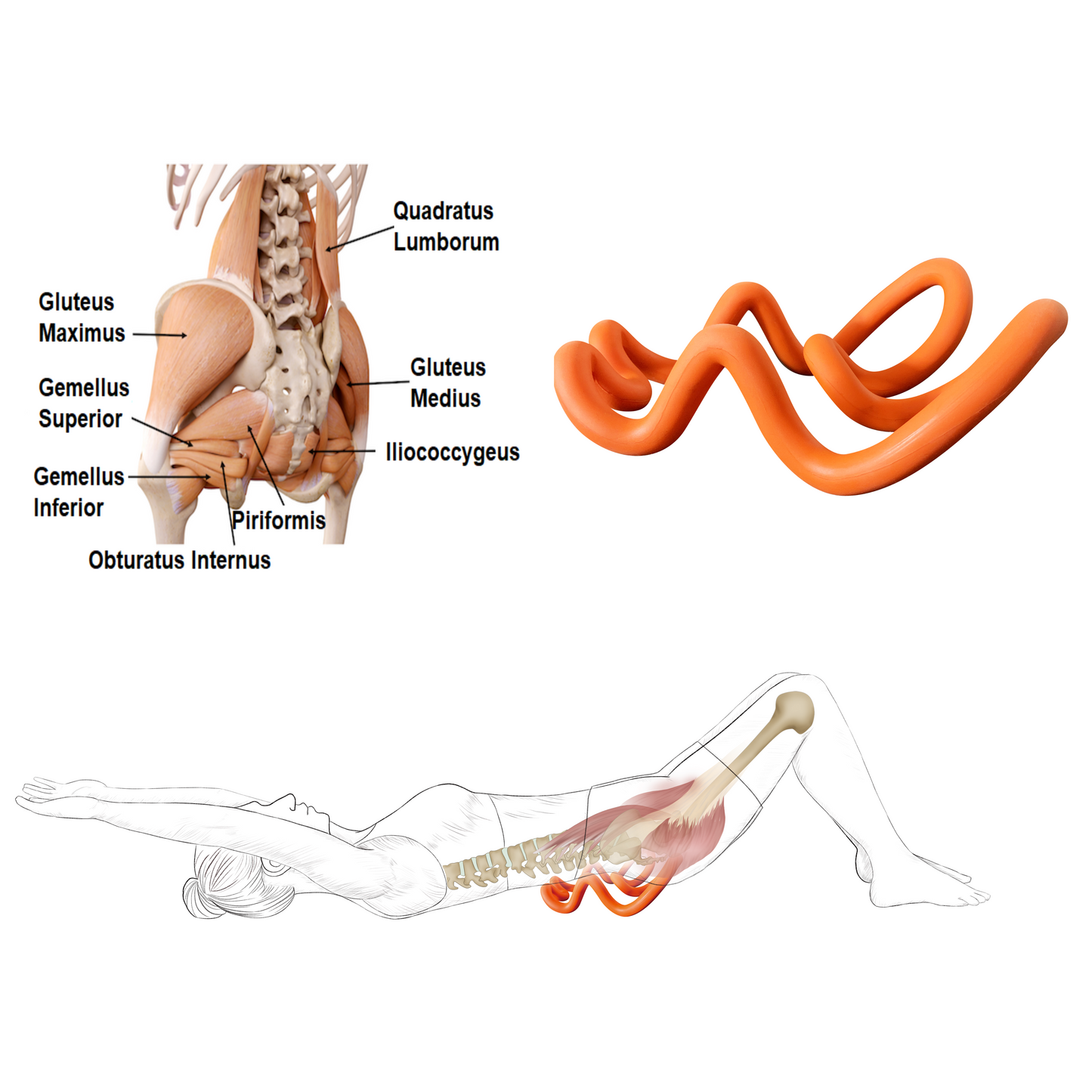 Deep tissue massage tool for glute piriformis and quadratus lumborum