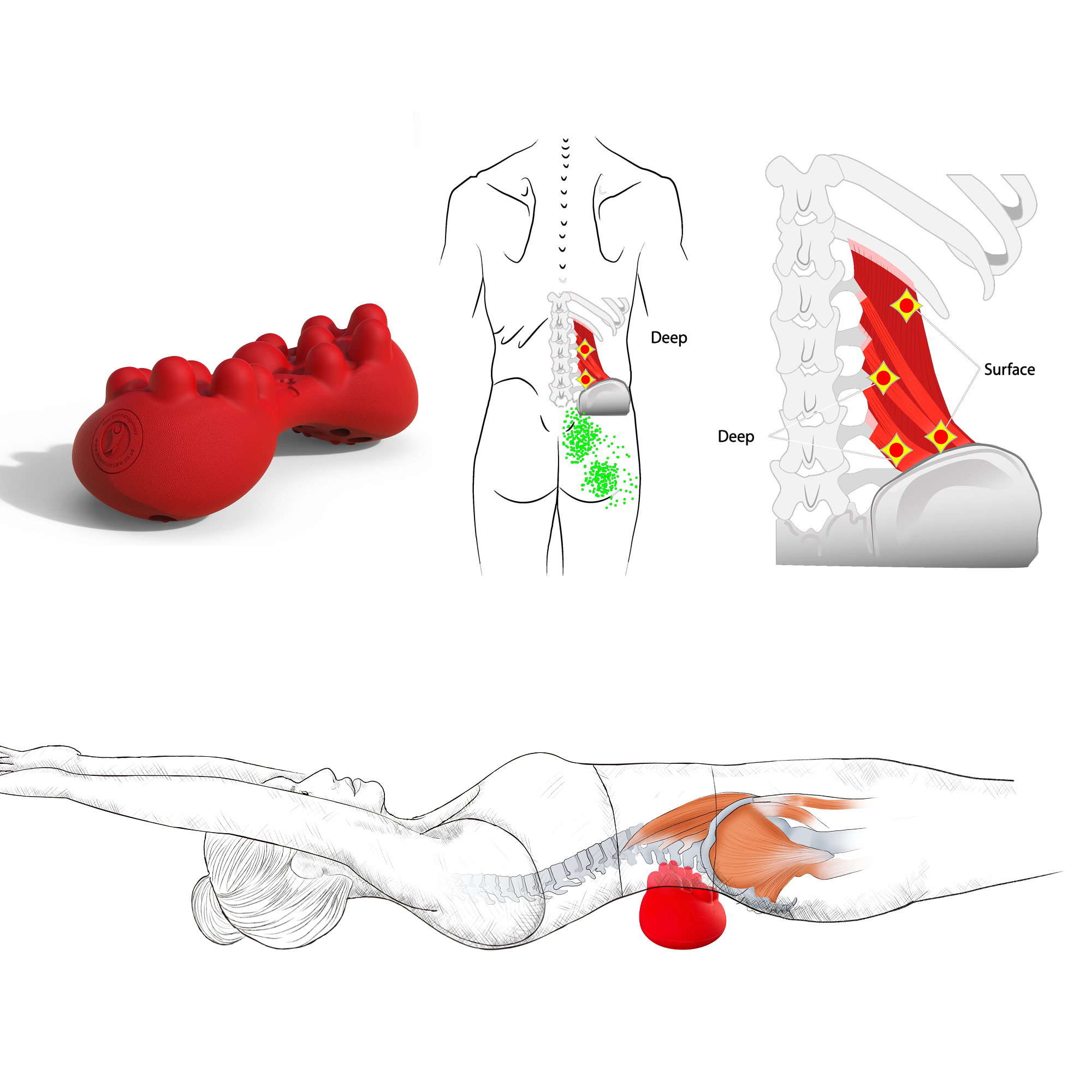thumbnail image 2 of Deep Tissue Pro - Fully Adjustable Psoas Muscle Release Tool For Hip Flexor, Back, Glute, Iliacus, And 2 of 13