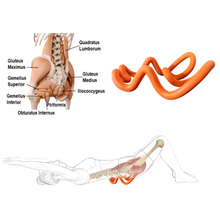 Load image into Gallery viewer, Effectively reduce pain and increase mobility by releasing quadratus lumborum and piriformis muscle, which entails digging peak points into the painful muscles to release your tight lower back muscles (Quadratus Lumborum) and glutes ( Piriformis ) at one time without putting any pressure on the spine
