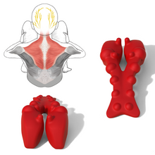 Load image into Gallery viewer, Myofascial Release Tight Trapezius Muscles to Relieve Neck Pain, Upper Back Pain, Shoulder Pain, Migraine, Tension headache,  Occipital Neuralgia, Suboccipital Headache, Levator Scapulae syndrome Thoracic outlet syndrome and Dowager&#39;s hump
