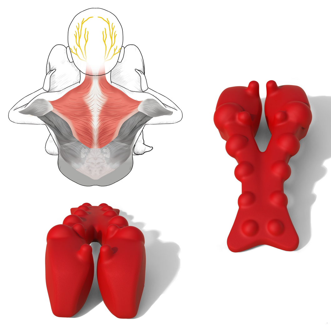 Myofascial Release Tight Trapezius Muscles to Relieve Neck Pain, Upper Back Pain, Shoulder Pain, Migraine, Tension headache,  Occipital Neuralgia, Suboccipital Headache, Levator Scapulae syndrome Thoracic outlet syndrome and Dowager's hump