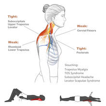 Load image into Gallery viewer, SLouching might be the main cause of Trapezius Myalgia, TOS syndrome, Suboccipital Headache, Levator Scapulae Syndrome 
